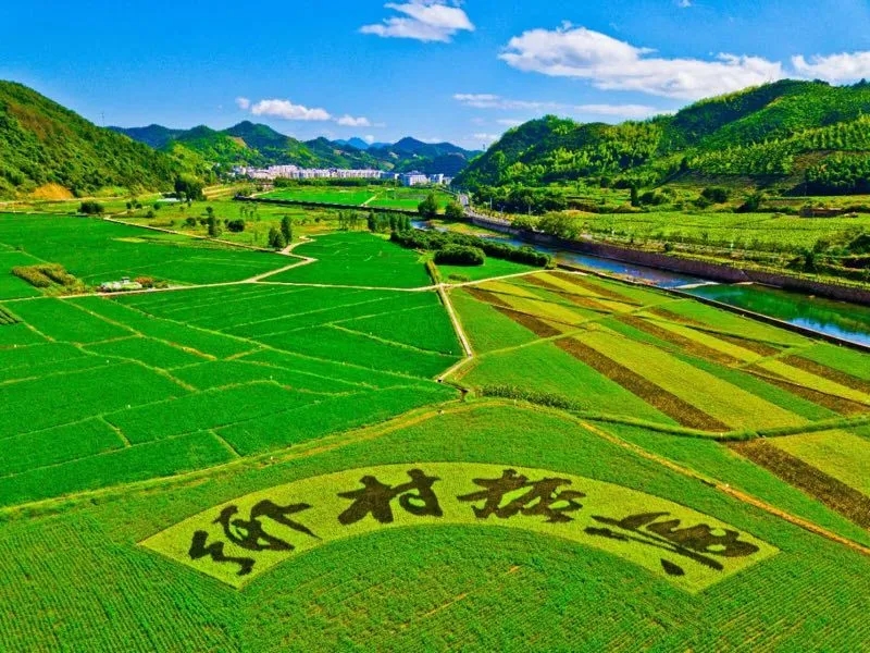 筑梦公益，自愿飞扬，弘扬雷锋精神，以实际行动践行 
