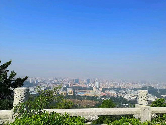 郴州市女企协玫瑰四组成功举办“五彩生活 玫瑰有约”会员见面会 