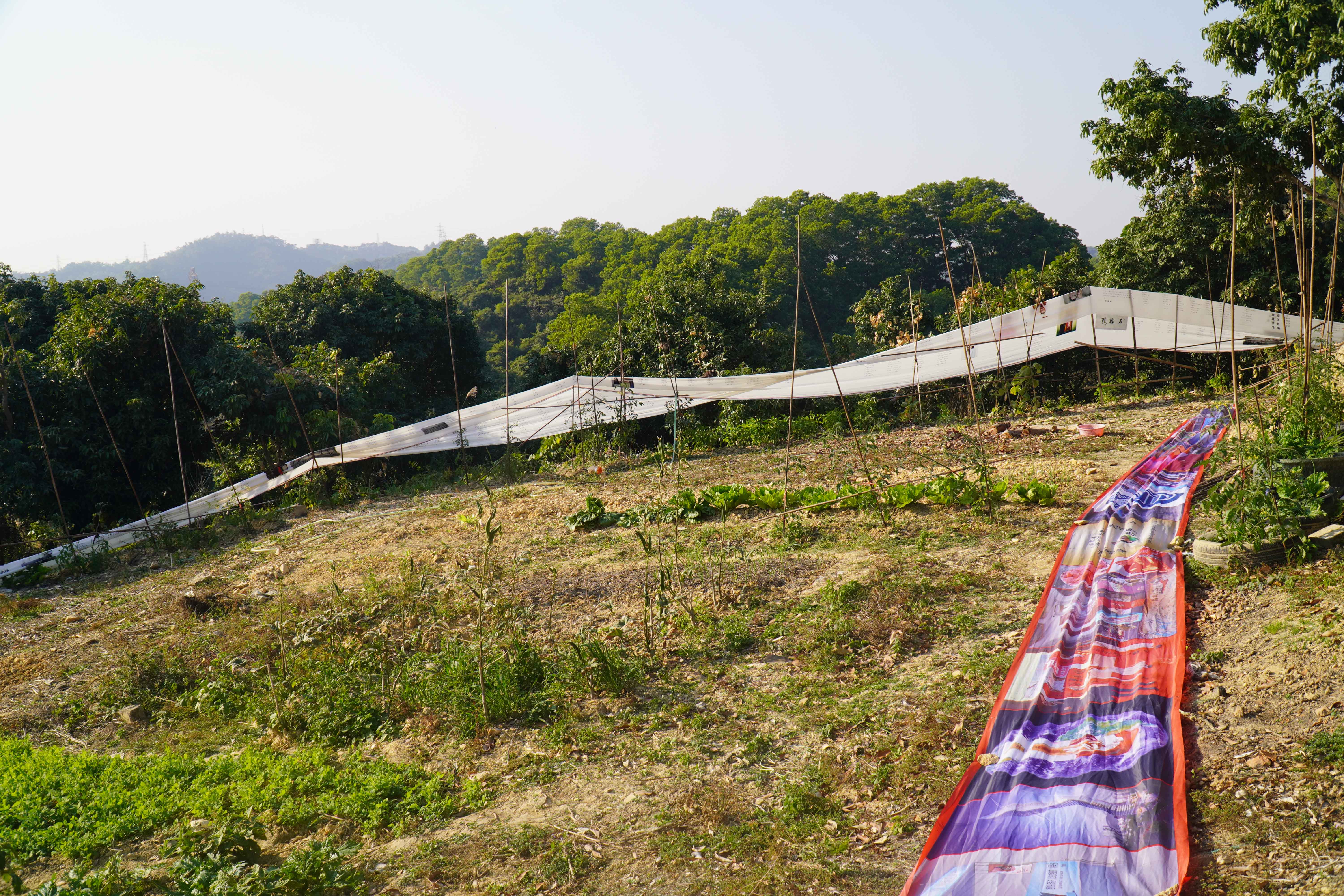 梧桐山上凤凰来，全球大地艺术节在深圳开启蓝色海洋之旅邮轮大会 
