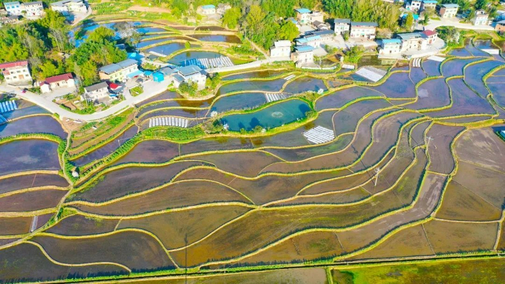 深圳南头古城打造指尖上的春天！百余家手工艺摊位限时集结 