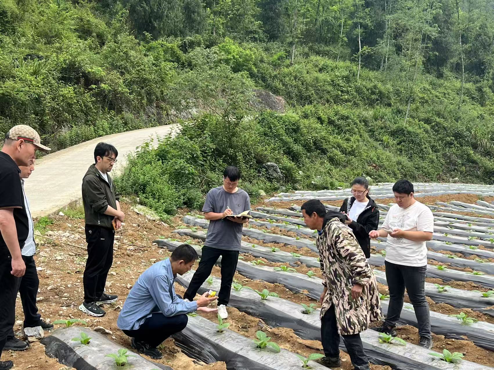 政研联动赋能“酶”力革命：保靖县打造新质生产力农业试验田