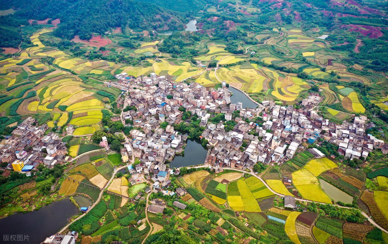 央企基金助力乡村振兴公益行动阶段性总结会暨乡村振兴带头人培训班结业式顺利举办 