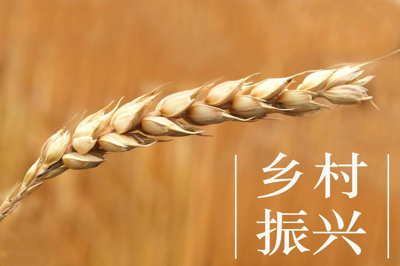 乡村振兴：什么是“千万工程” 