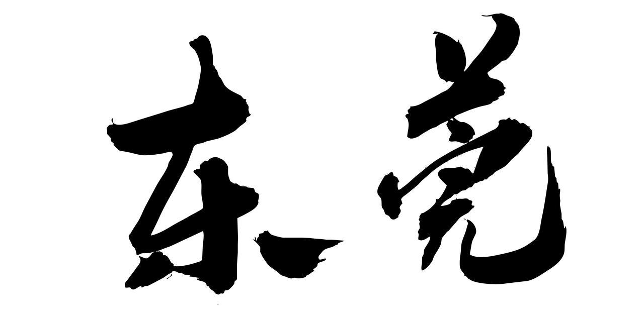 东莞市横沥传达学习市第十七届人民代表大会第六次会议精神 