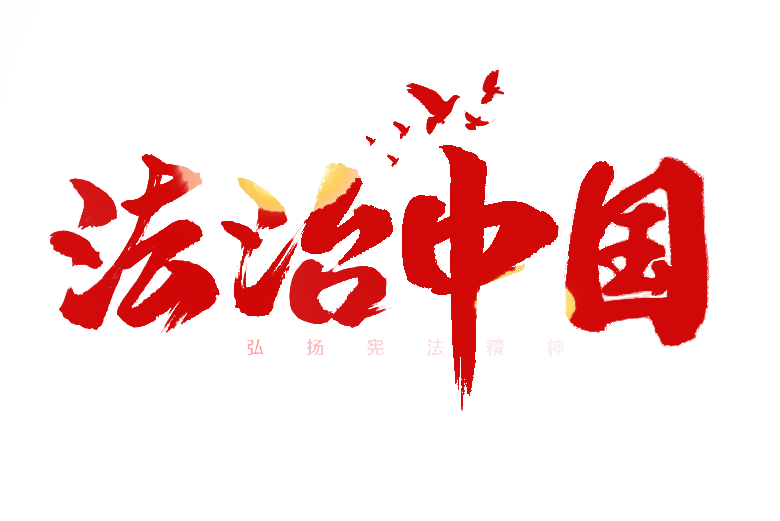 庄桂雄：推进社会主义民主法治建设，优化司法环境与营商环境势在必行 