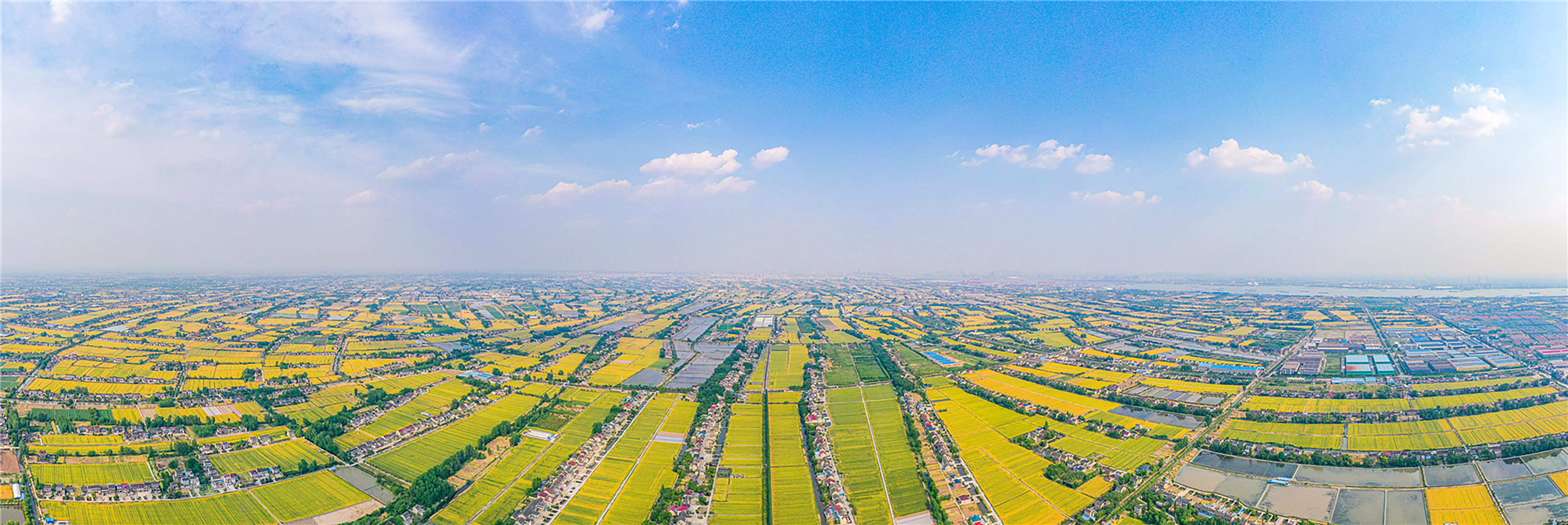 再部署、再落实！东莞市常平召开安全生产工作会议