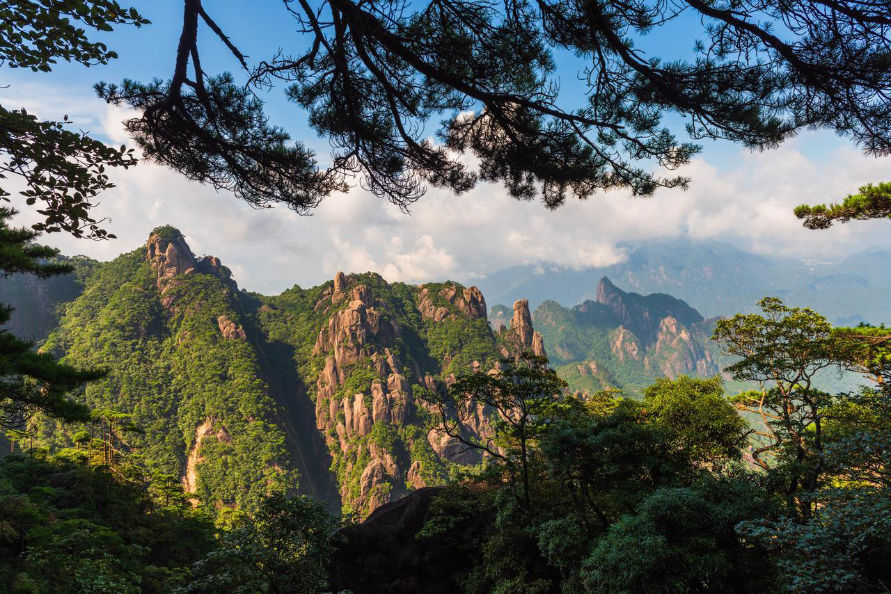 趋势・创新・整合：打造广州黄埔国际森林康养产业新高地